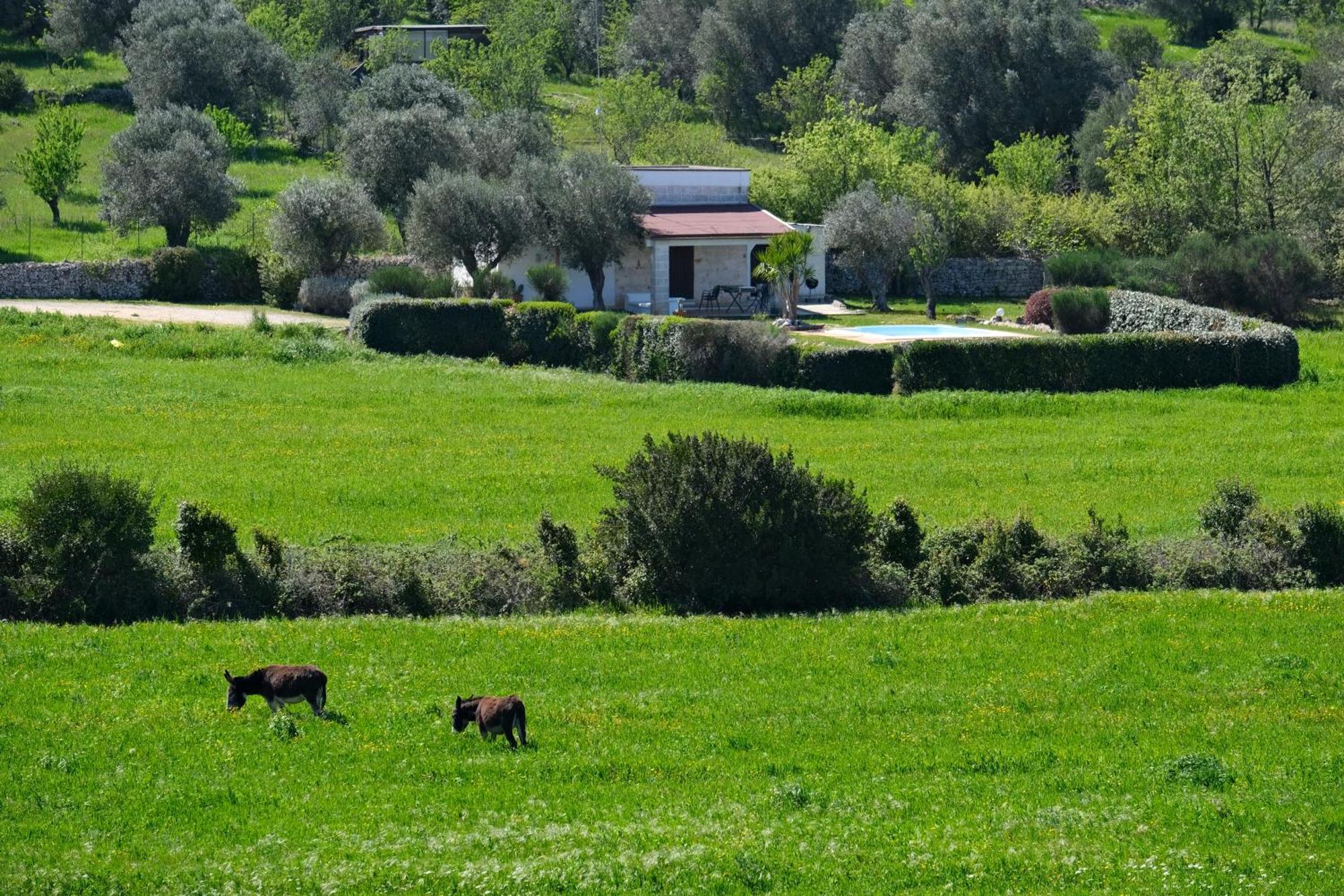 Terra Sessana Ville E Trullo Con Piscina Privata Ostuni Kültér fotó